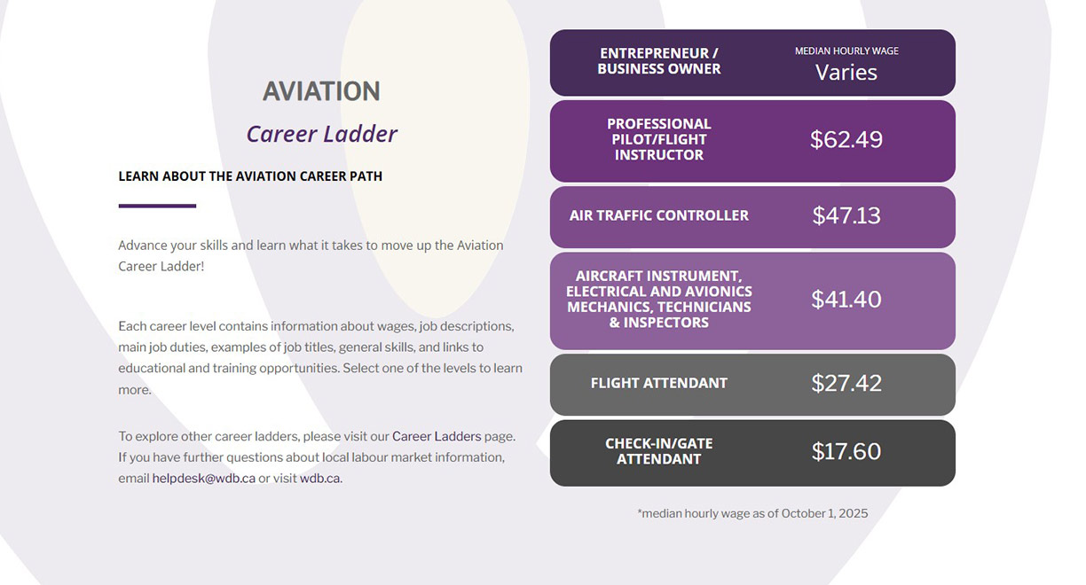 Aviation Career Ladder Cover Image